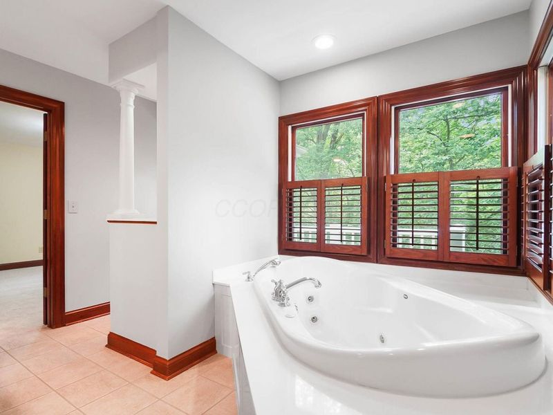 1451 Brittingham Lane, Powell, OH 43065 Photo 71