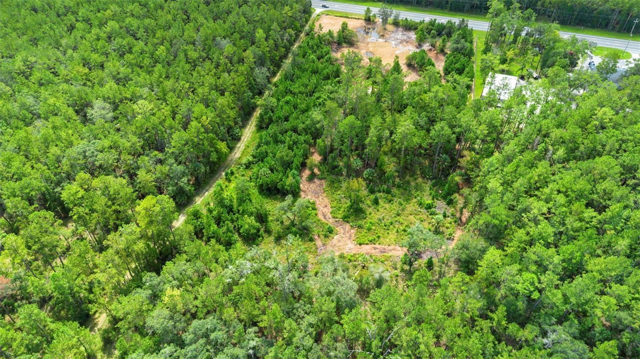 10951 E Highway 40, Silver Springs, FL 34488 Photo