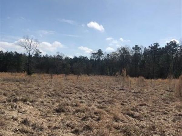 341 HWY 454 Highway, Pineville, LA 71360