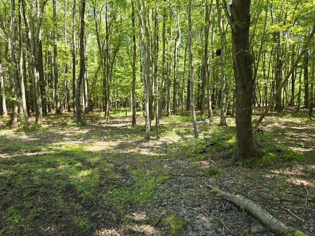 13630 Woodside Lane, Newport News, VA 23608 Main Photo