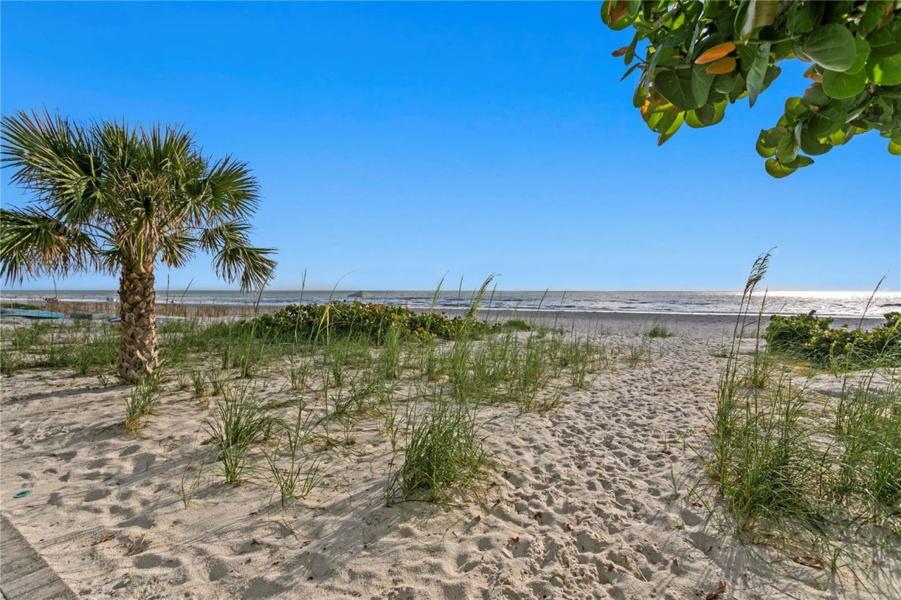 20060 Gulf Boulevard, Indian Shores, FL 33785 Photo