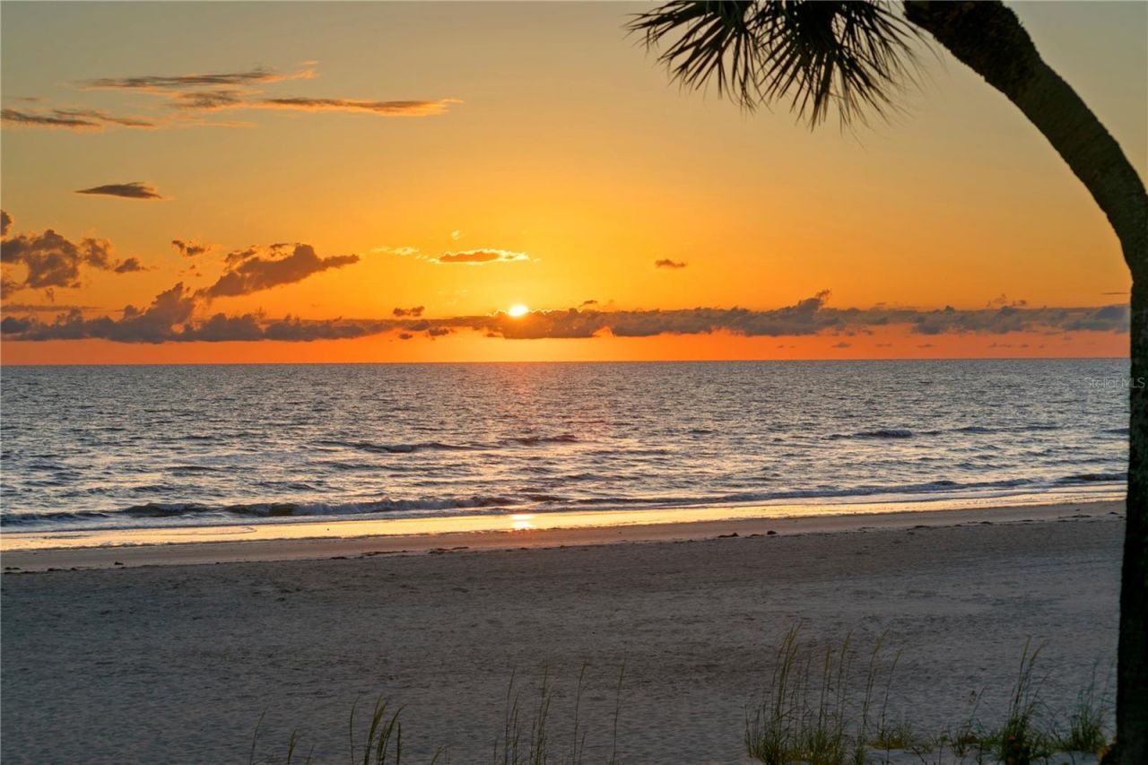 20060 Gulf Boulevard, Indian Shores, FL 33785 Photo