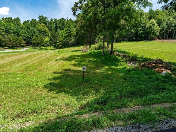 Lot #18 Vineyard Valley Drive, Butler, TN 37640