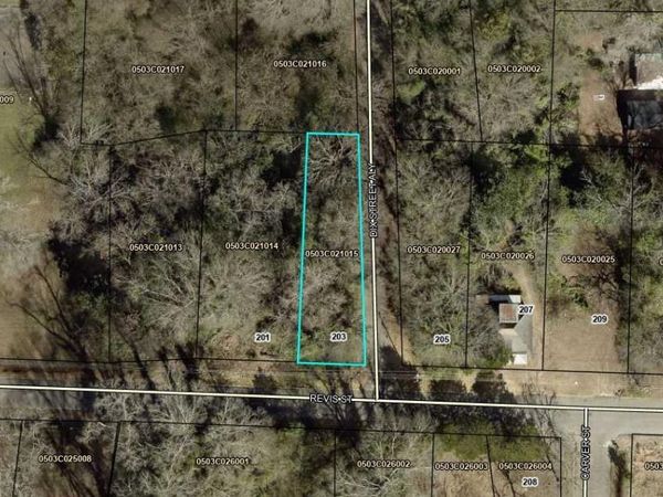 203 Revis Street, Lagrange, GA 30240