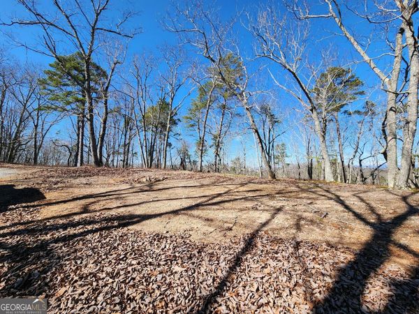 0 Nichols Cove Drive, Dawsonville, GA 30534
