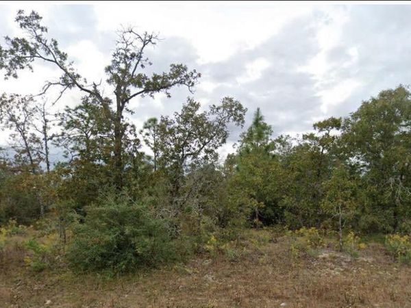 ESMONT AVENUE, CHIPLEY, FL 32428