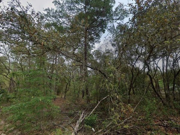 111 N CAROLINA DRIVE, SATSUMA, FL 32189