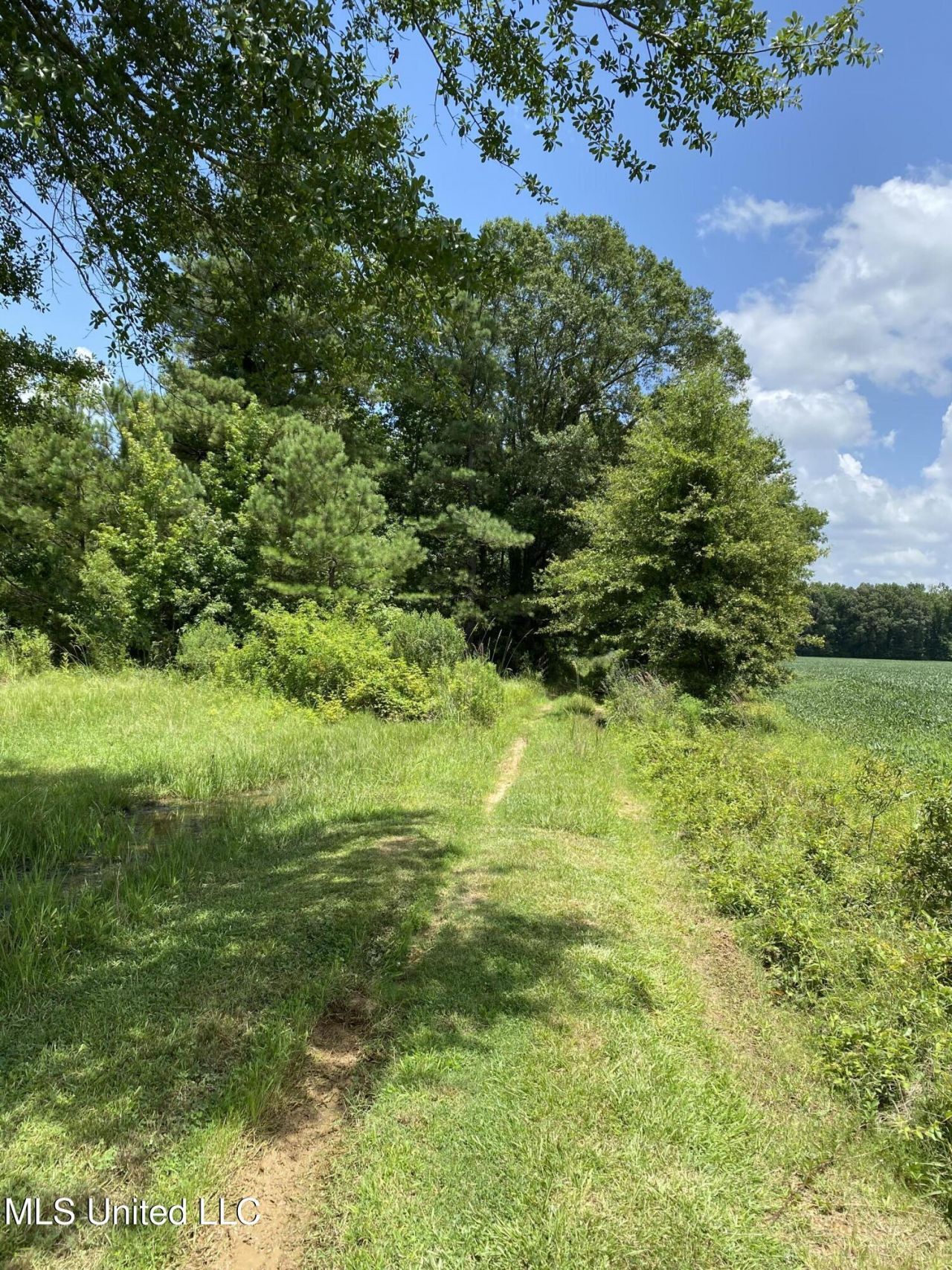 0 Way Road, Canton, MS 39046 Main Photo