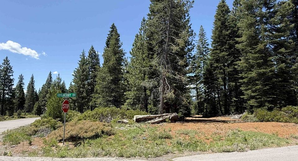 15 Idylberry Drive, Lake Almanor, CA 96137 Photo