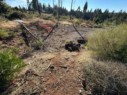 6232 Wesleyan Ct, Magalia, CA 95954 Photo