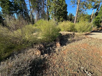 6232 Wesleyan Ct, Magalia, CA 95954 Photo