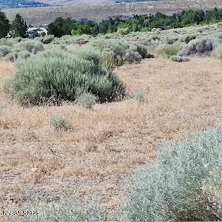 0 Simons Drive, Reno, NV 89523 Photo