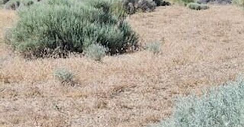 0 Simons Drive, Reno, NV 89523 Photo