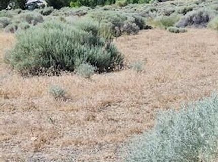 0 Simons Drive, Reno, NV 89523 Photo