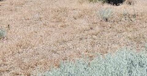 0 Simons Drive, Reno, NV 89523 Photo