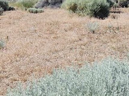 0 Simons Drive, Reno, NV 89523 Photo