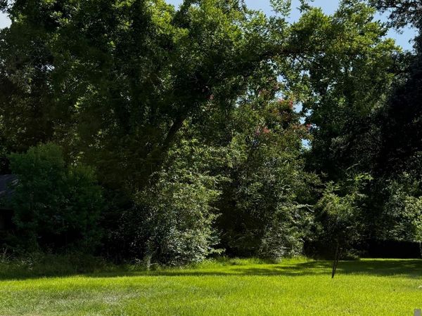 319 N Marchand Ave, Gonzales, LA 70737