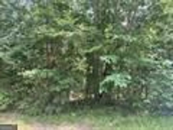 0 Buffalo Lick Road, Union Point, GA 30669