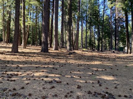 615 E Mountain Ridge Road, Lake Almanor, CA 96137 Photo