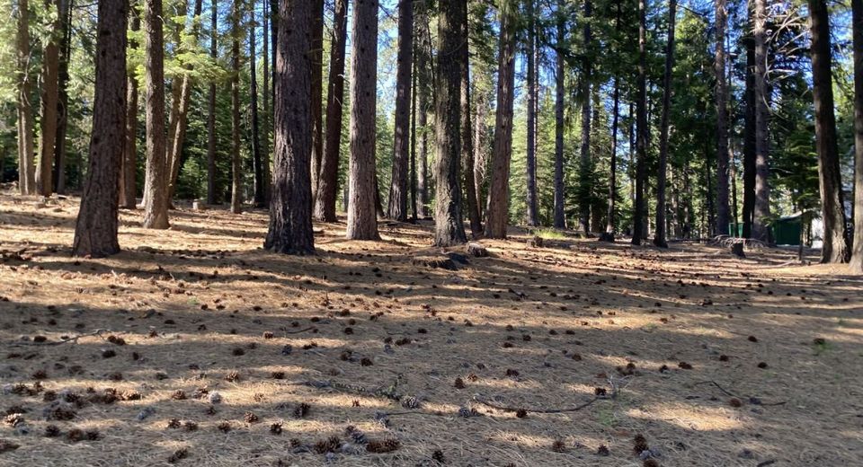 615 E Mountain Ridge Road, Lake Almanor, CA 96137 Photo