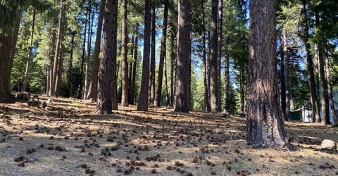 615 E Mountain Ridge Road, Lake Almanor, CA 96137 Photo