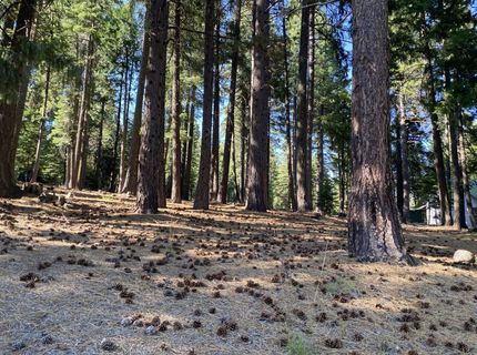 615 E Mountain Ridge Road, Lake Almanor, CA 96137 Photo