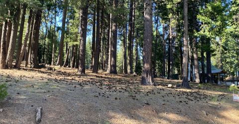615 E Mountain Ridge Road, Lake Almanor, CA 96137 Photo