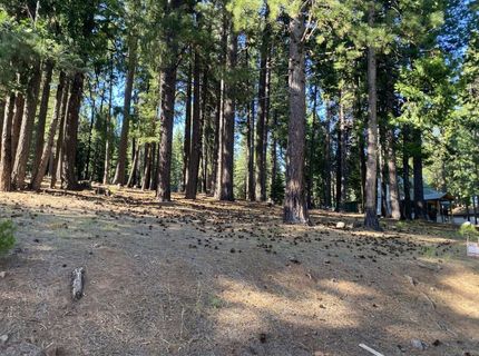 615 E Mountain Ridge Road, Lake Almanor, CA 96137 Photo