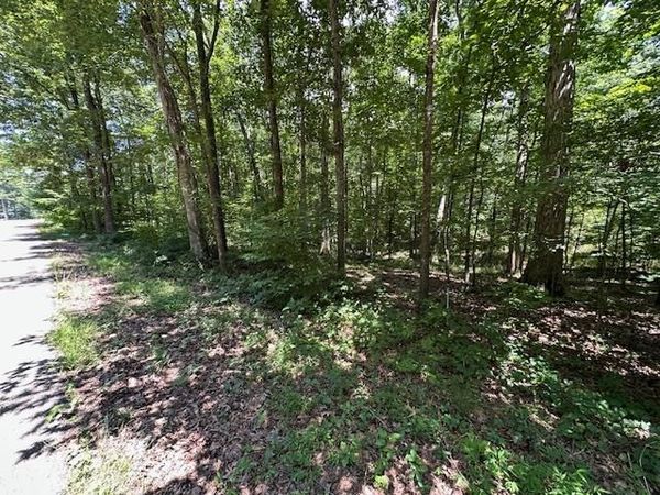 Lot 10 Beaverdam Cabin Rd, Camden, TN 38320
