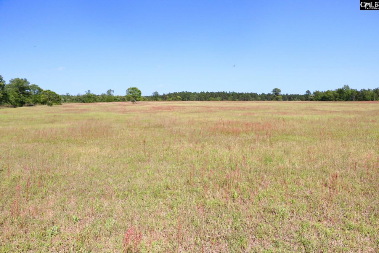 Tbd Browns Pond Road Photo 10