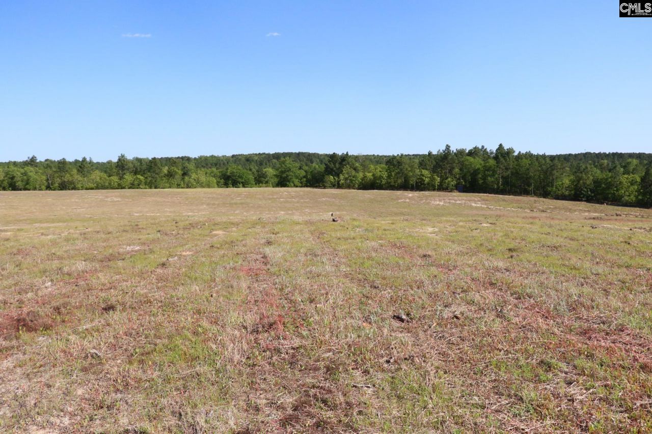 Tbd Browns Pond Road Photo 11