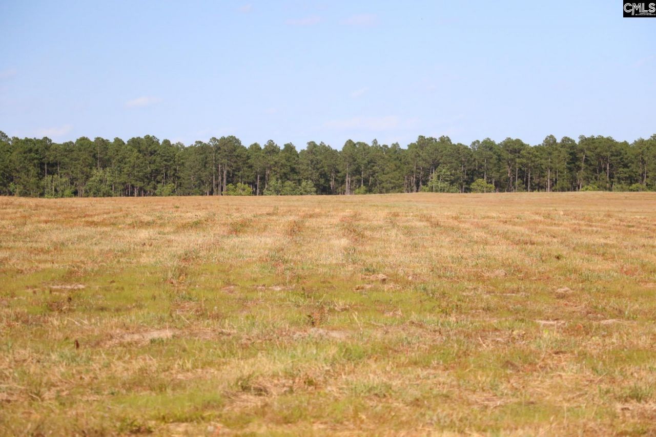 Tbd Browns Pond Road Photo 12