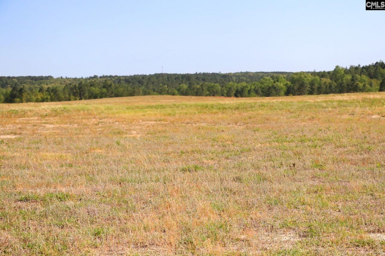 Tbd Browns Pond Road Photo 13