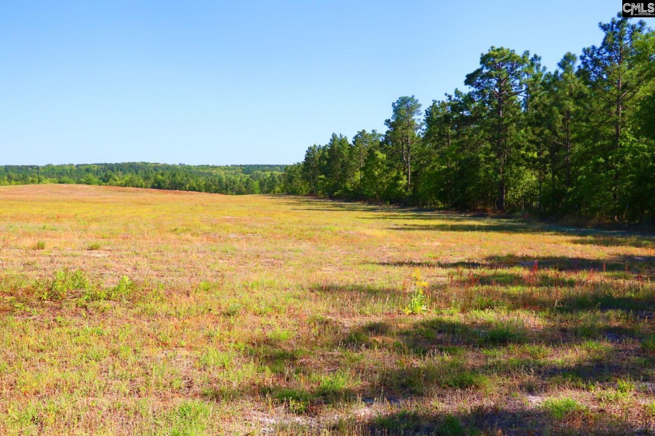 Tbd Browns Pond Road Photo 15