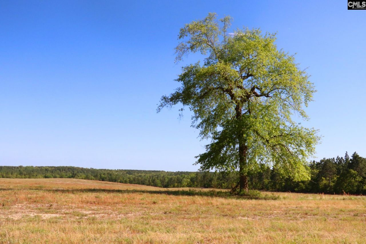 Tbd Browns Pond Road Photo 16