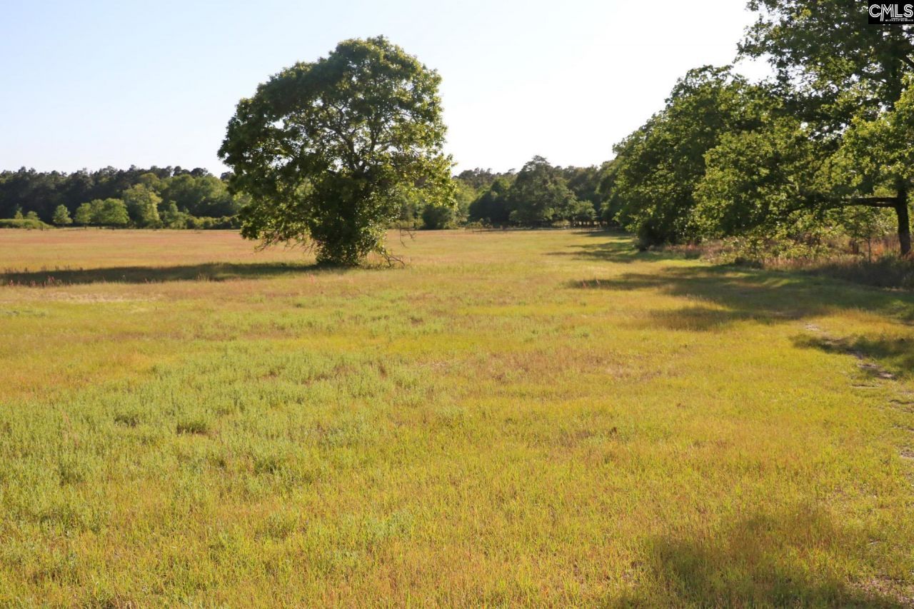 Tbd Browns Pond Road Photo 17