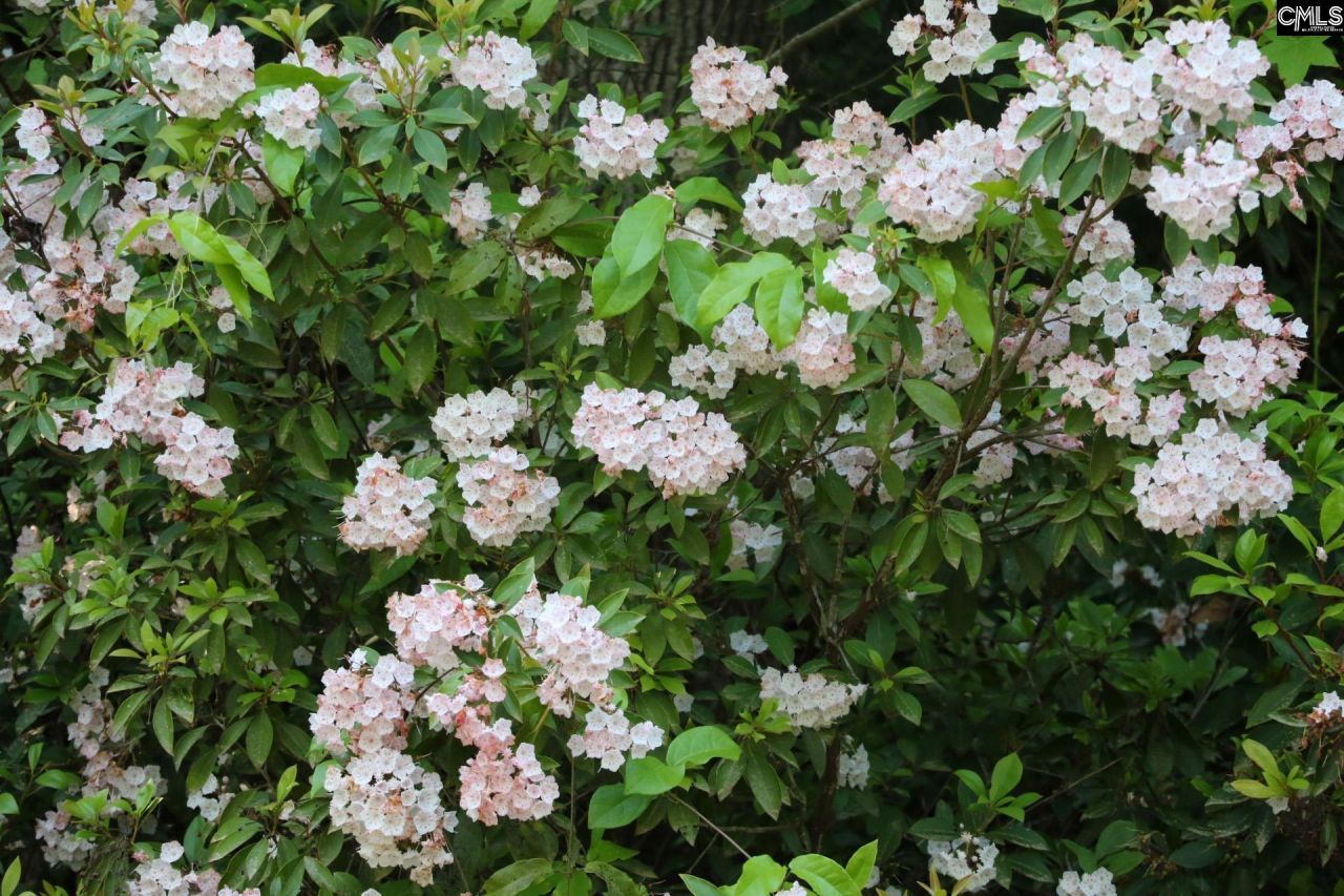 Tbd Browns Pond Road Photo 18