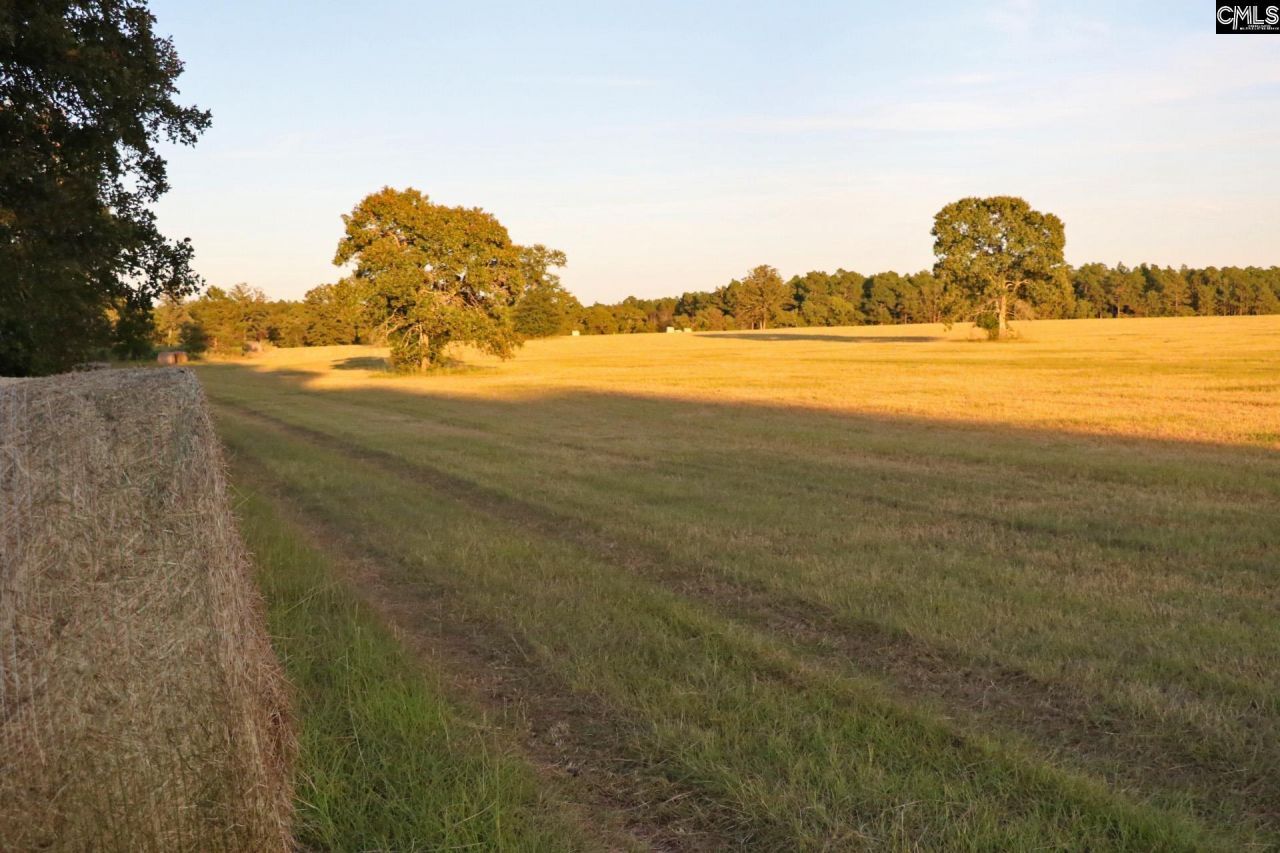 Tbd Browns Pond Road Photo 20