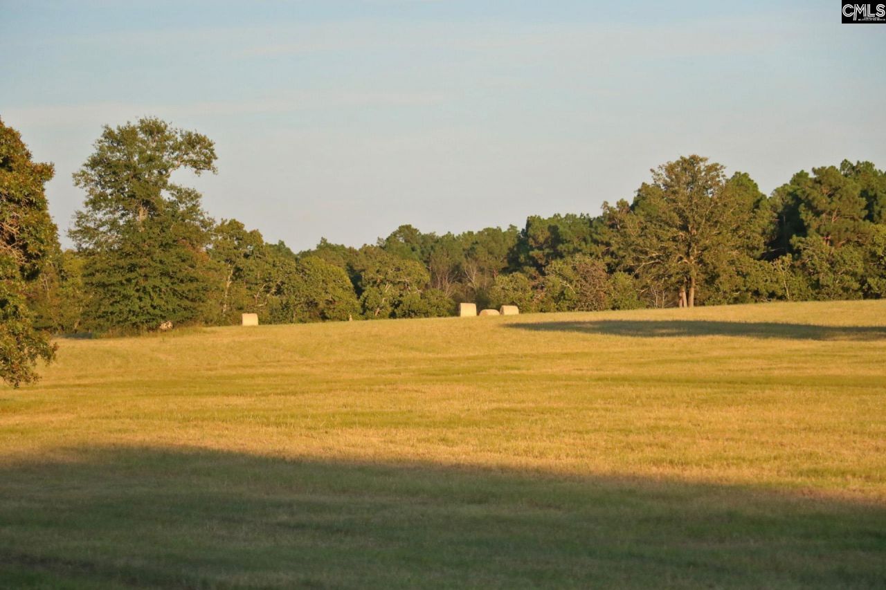 Tbd Browns Pond Road Photo 21