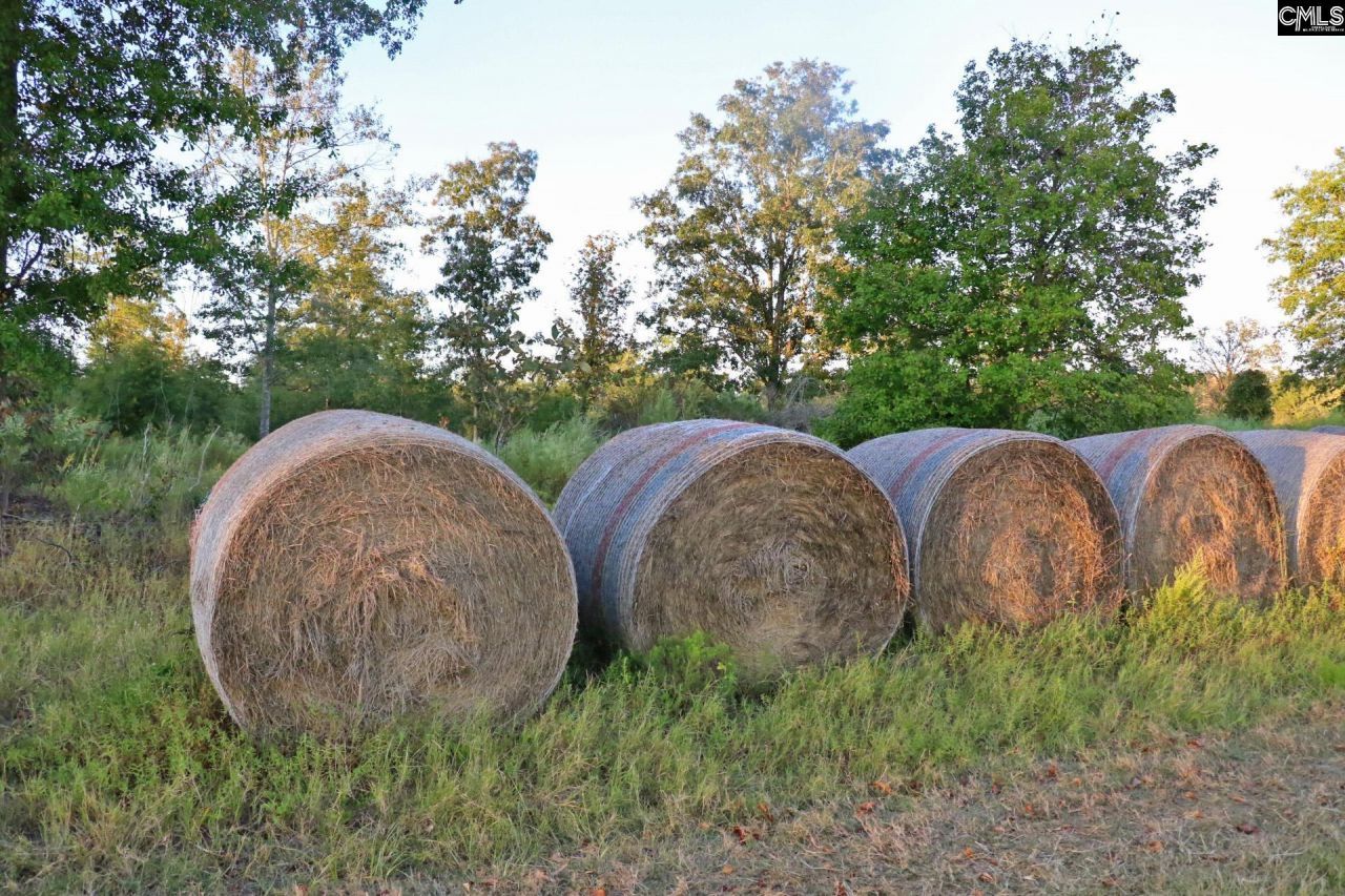 Tbd Browns Pond Road Photo 22