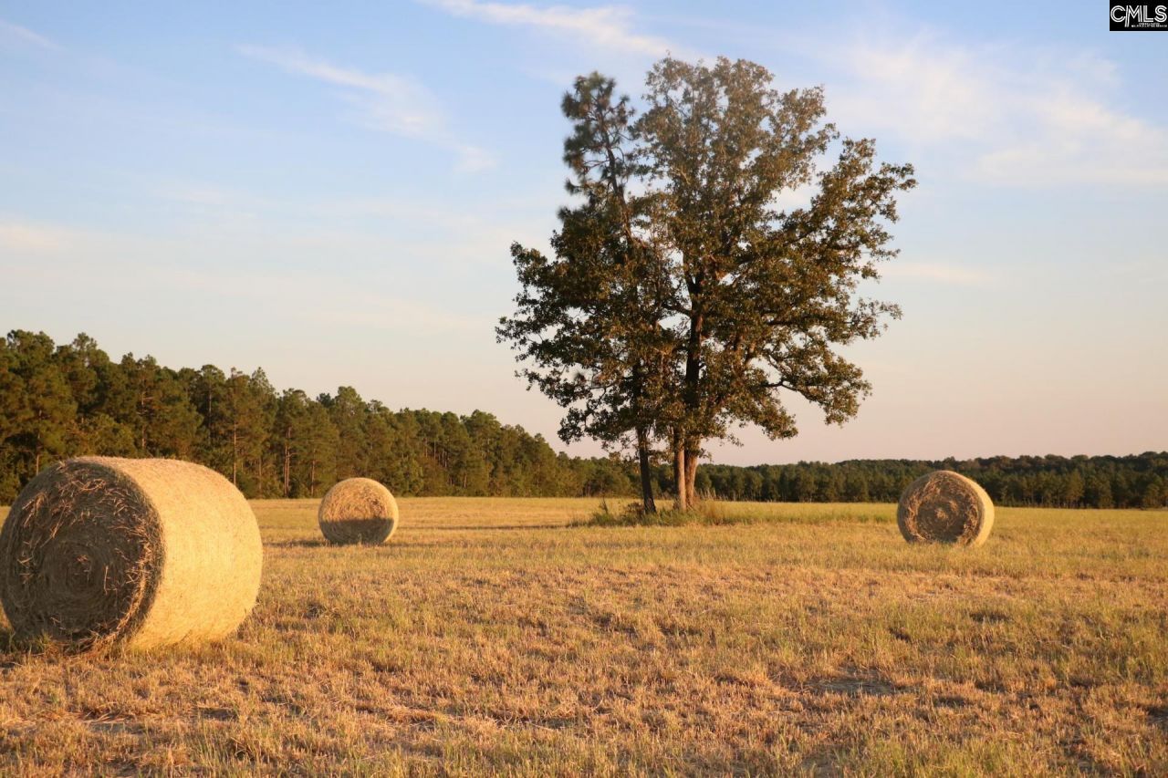 Tbd Browns Pond Road Photo 23