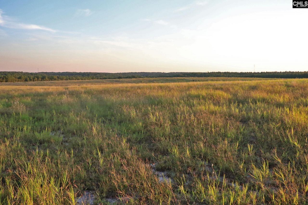 Tbd Browns Pond Road Photo 24