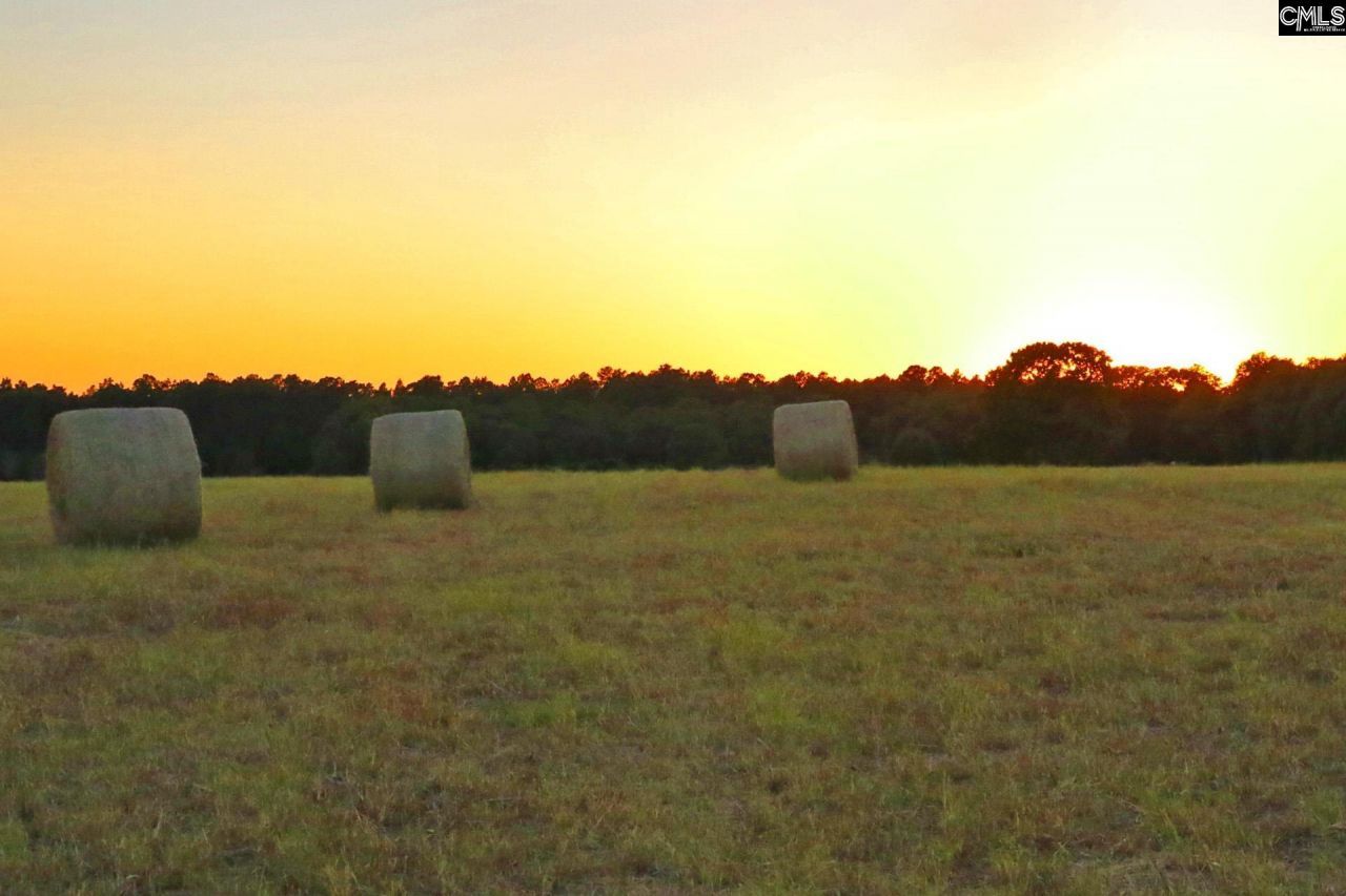 Tbd Browns Pond Road Photo 25