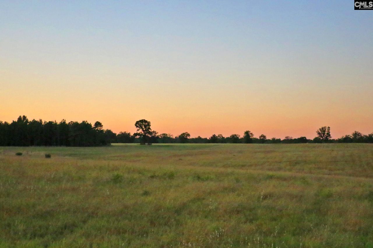 Tbd Browns Pond Road Photo 26