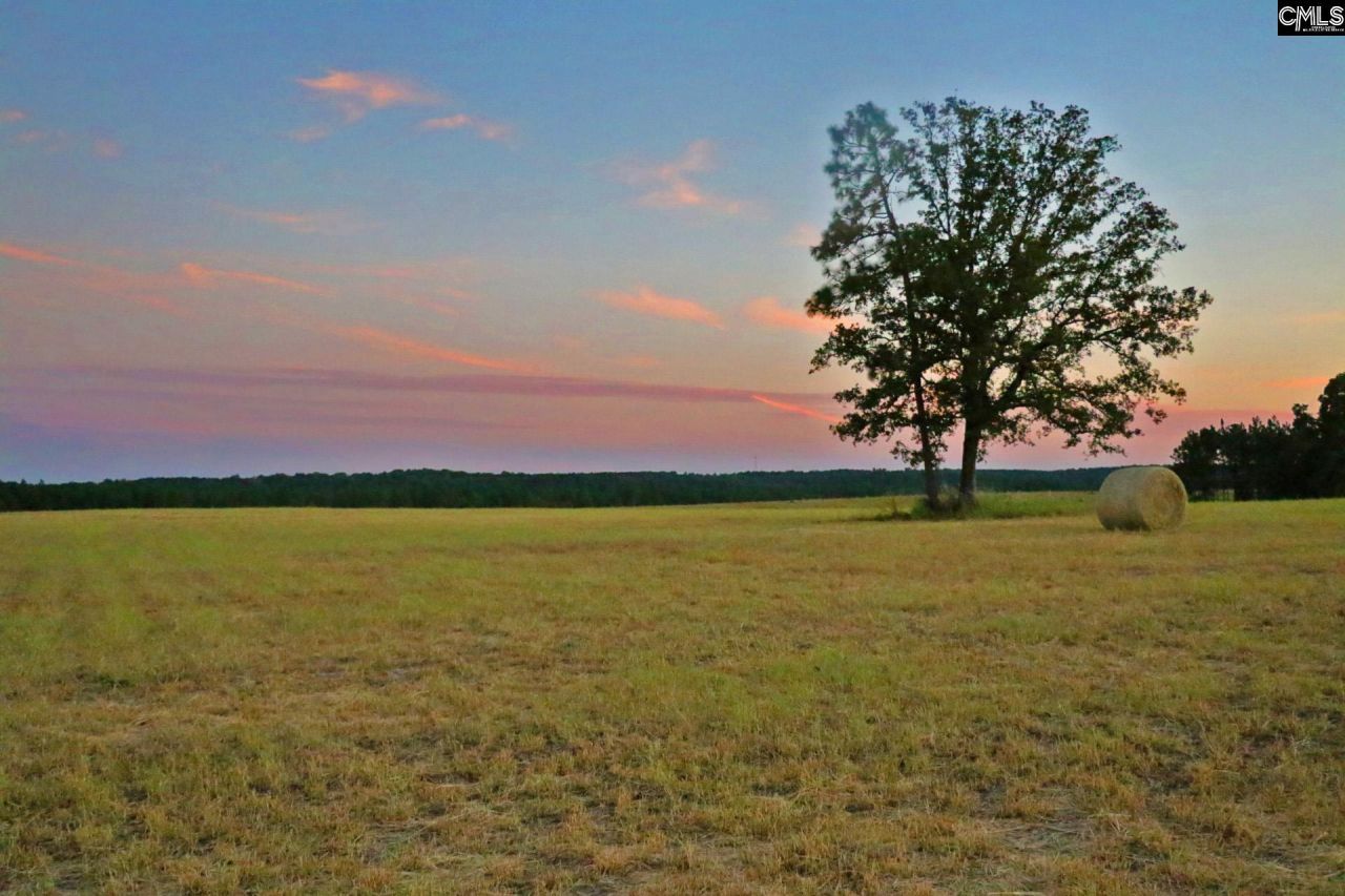 Tbd Browns Pond Road Photo 27