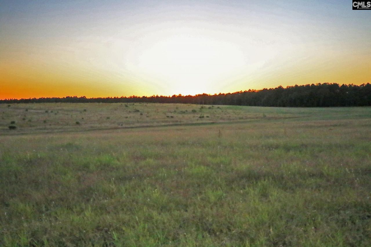 Tbd Browns Pond Road Photo 28