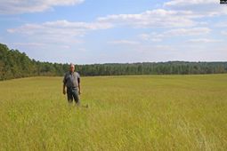 Tbd Browns Pond Road photo 4