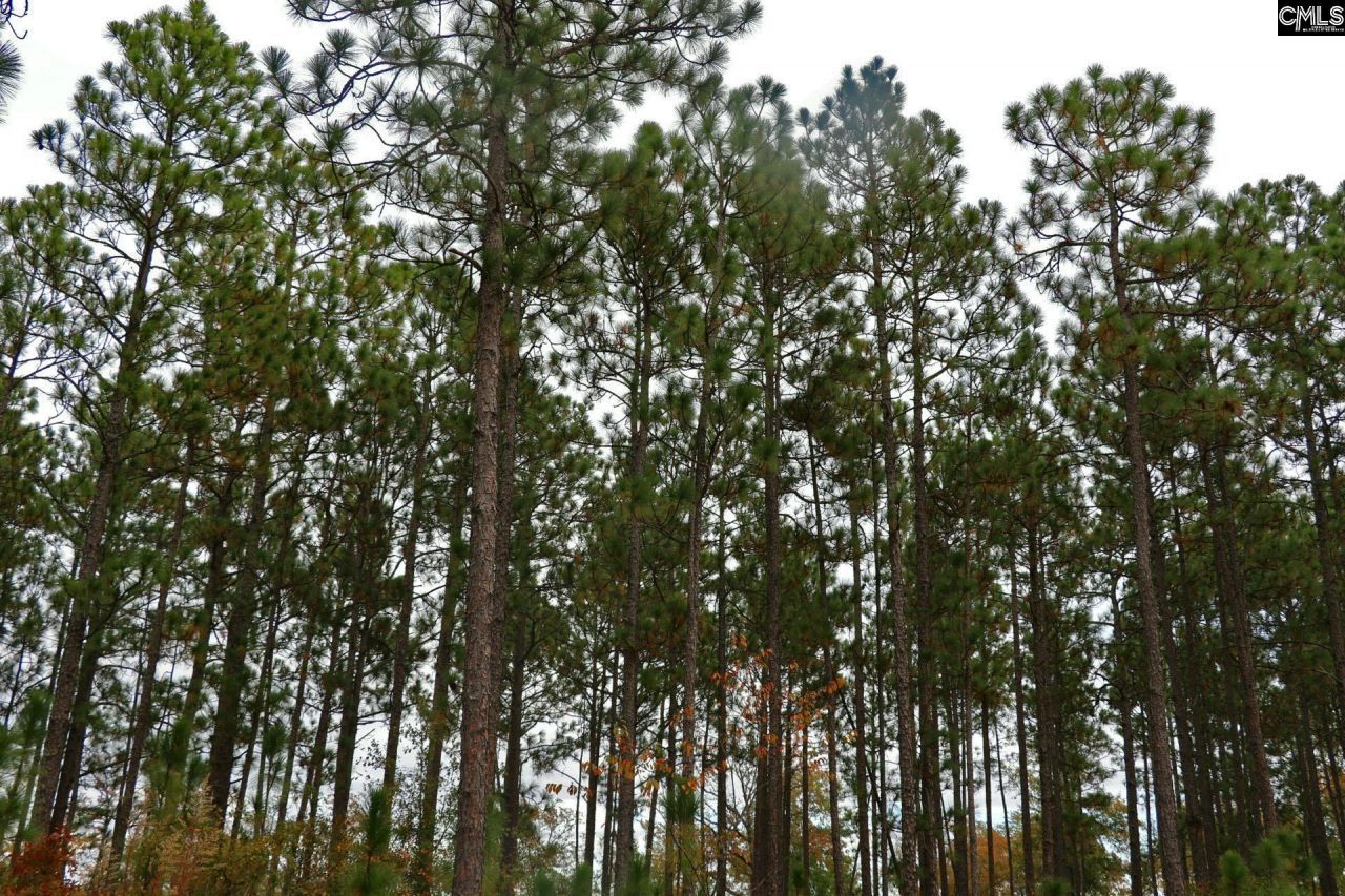 Tbd Browns Pond Road Photo 30