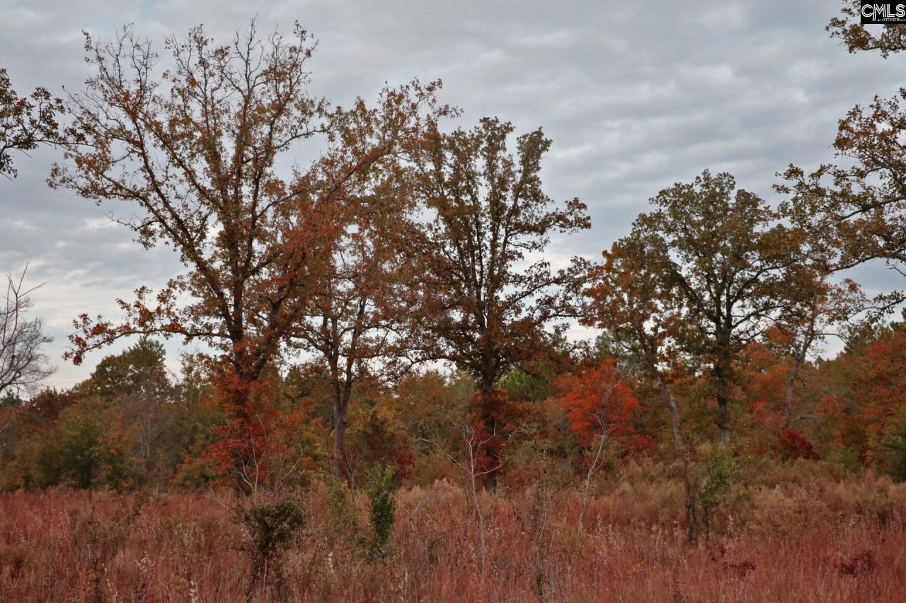 Tbd Browns Pond Road Photo 33