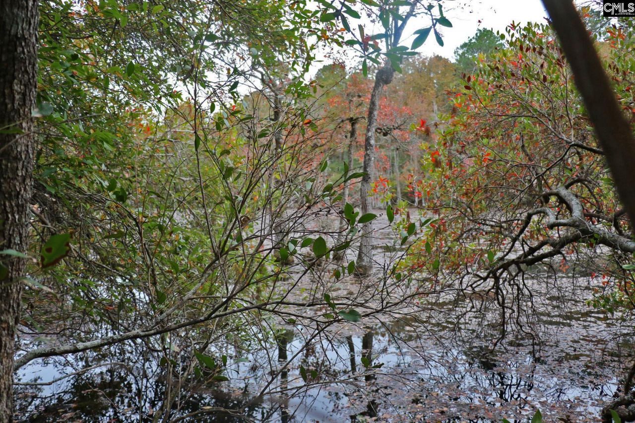 Tbd Browns Pond Road Photo 34